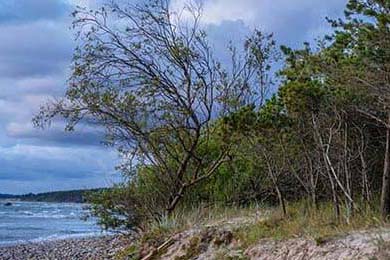 AI引擎赋能：智能测评、战术分析助推专业化发展，ai引擎是干什么的