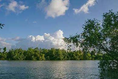 APEX英雄 线上赛事观赛人数创新高，apex一场比赛大概需要多少时间