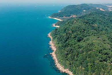 24小时疯狂追逐：夜色中WRC激烈追赶赛场实录，24小时疯狂歌曲